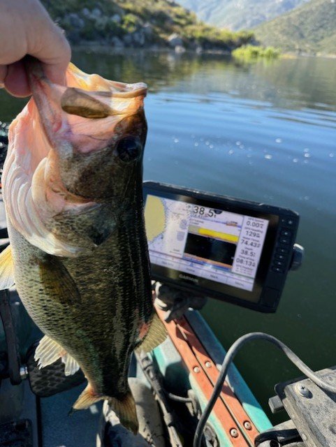 Caught this one on the BFS, sure is fun to hear the drag sing.